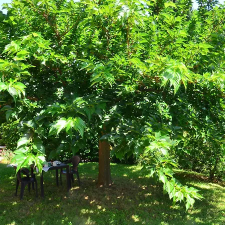 Agroturismo Nonna Rana