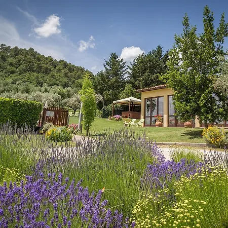 Alloggio per agriturismo Nonna Rana Cannara